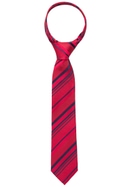 Tie in dark red striped